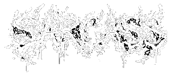 SARCASS Logo